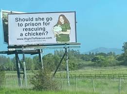 Zoe Rosenberg Sentencing and Animal Rights Protests