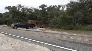 Dead, neglected animals discovered at Bandera County sanctuary amid cruelty investigation, officials say