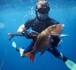 Cancun, Mexico - m - The World s Largest Spearfishing