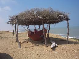 Image result for wayuu