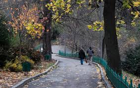 РБК-Україна - News update