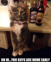 Image result for hi meme