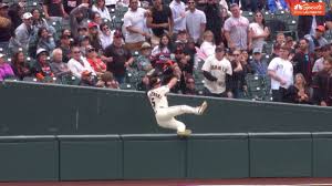 Mike Yastrzemski Foul Ball Catch