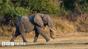 BBC - News update