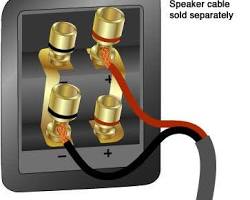 Image of Binding Posts speaker connector