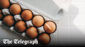 One dead after salmonella outbreak linked to imported eggs