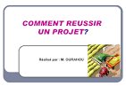 Compte-rendu Comment russir son projet numrique?
