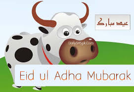 Image result for bakra eid funny images