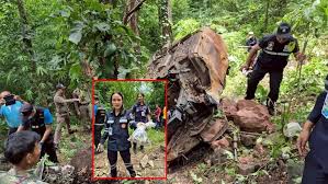 ผู้จัดการออนไลน์ - News update