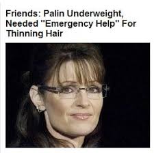 Here&#39;s today&#39;s Puff Ho Palin headline (as if a real friend of Palin would talk to the Puff Ho). Screenshot of Huffington Post front page. - 6a00d8341c60bf53ef011571fed5bc970b-500wi