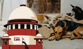 BREAKING | 'Dog Bite Menace Rising' : Supreme Court Refuses To Modify Directions To Remove Stray Dogs...