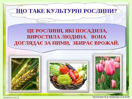 Картинки по запросу Культурні рослини фото