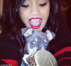 Meet Maurice! Little Mix singer Leigh-Anne Pinnock shared pictures on Twitter of her adorable new puppy. Leigh-Anne, who also has a pug dog called Harvey, ... - article-0-16869EFA000005DC-27_634x591