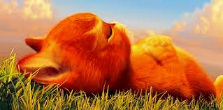 Résultat de recherche d'images pour "gif chatmignon"