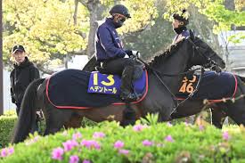 【天皇賞春】ヘデントール「取捨のカギ」前走8着の敗因と好走条件を検証！ルメール確保の特大アドバンテージも