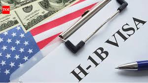 'Comparing H-1B workers to entire workforce': Row over US entrepreneur’s claim visa holders are less than