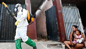 Image result for pictures of zika virus in brazil