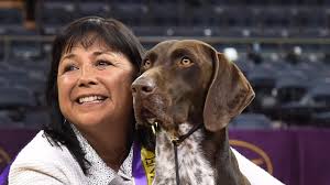 Image result for pic of dog that won westminster 2016