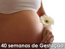 Mensagem para Gestante-By Tedy Troyano-2012 -