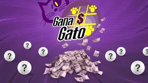 Sorteo Gana Gato 3054