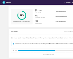 Image of Smush WordPress Plugin Interface