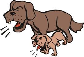Image result for images of a barking dog