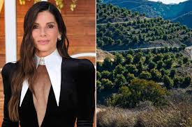 19 Years Ago, Sandra Bullock Bought a 91-Acre California Property and Transformed It