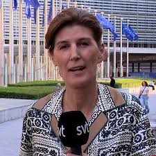 SVT Nyheter - News update