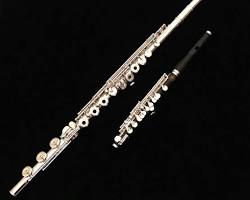 Image of piccolo flute instrument