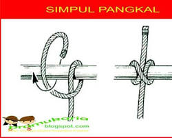 Gambar gambar simpul pangkal pramuka