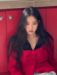 뉴시스