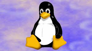 "Copy Fail": Linux root in all major distributions with 732 bytes of Python
