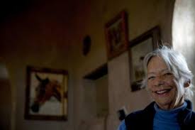 Image result for IRAN HORSES