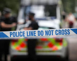 Four people in hospital after reports of stabbing in south-east London — The Guardian