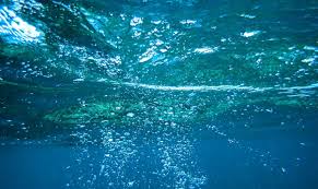 Analizan más de 1.150 muestras del fondo oceánico y un hallazgo preocupa a los científicos