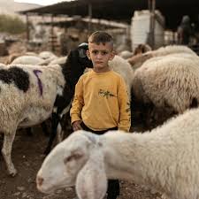 Haaretz - News update