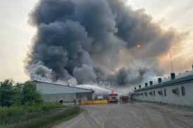 Massacre at an Ontario pig farm: 20,000 animals died with no ...