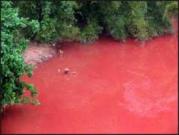 Image result for water that was turn to blood