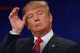 Image result for Donald Trump