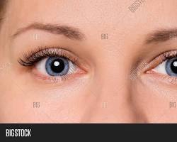 Image of closeup of a human eye, with prominent eyebrows.