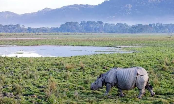 IUCN flags land-use changes as threat to Kaziranga amid Assam's proposed ESZ cut from 10 km to 1-3 km; conservationists warn of industrial expansion