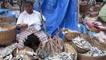 cracks down fish imports restore