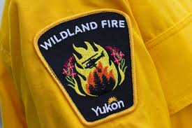 Trend Google: yukon