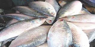 Image result for west bengal images