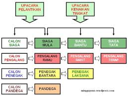 Hasil gambar untuk golongan dalam pramuka