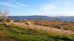 Beach granite california