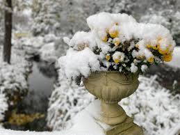 'Super El Nino' brewing in Pacific, Tamil Nadu could face flood risk: Weather blogger - DT Next