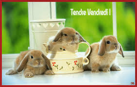 Résultat de recherche d'images pour "images gifs bon mois de mars"