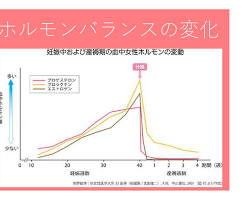 出産後のホルモンバランスの画像