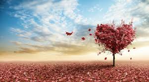 Image result for love